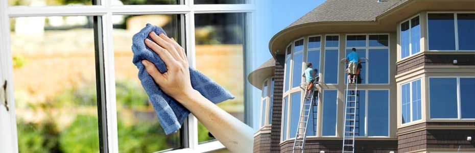 Window Cleaning Experts